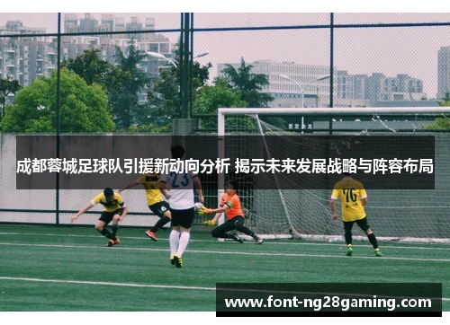 成都蓉城足球队引援新动向分析 揭示未来发展战略与阵容布局