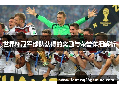 世界杯冠军球队获得的奖励与荣誉详细解析