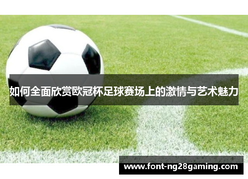 如何全面欣赏欧冠杯足球赛场上的激情与艺术魅力