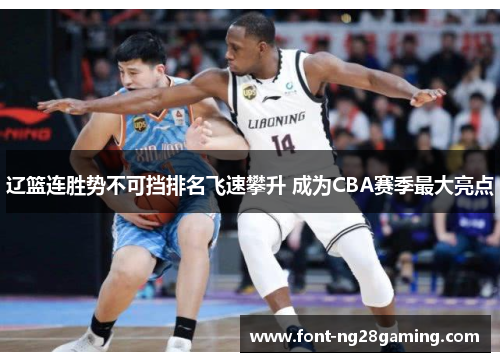 辽篮连胜势不可挡排名飞速攀升 成为CBA赛季最大亮点