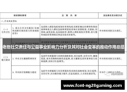老詹社交责任与公益事业影响力分析及其对社会变革的推动作用总结
